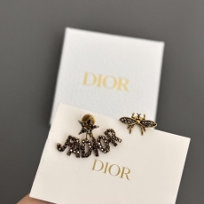 Christian Dior Earrings